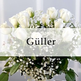 Güller