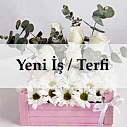 Yeni İş Çiçekleri