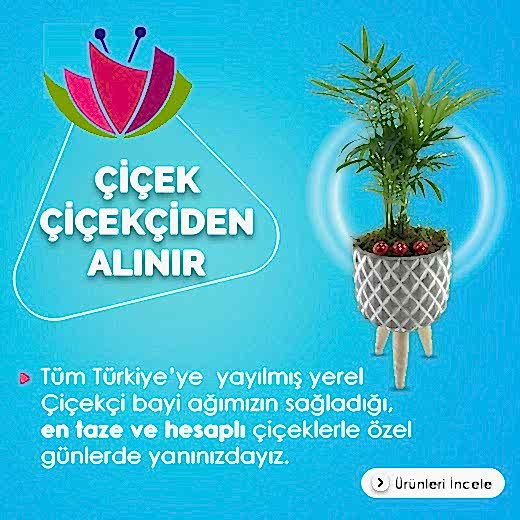 Çiçek Çiçekçiden Alınır - Tüm Türkiye'ye yayılmış yerel çiçekçi bayi ağımızın sağladığı en taze ve en hesaplı çiçeklerle özel günlerde yanınızdayız.