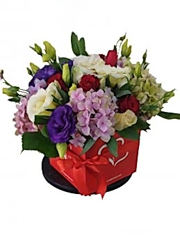 istanbul  kutuda çiçek