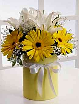 Gün Işığı  çiçek gönder