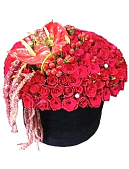 Kutuda 360 Gül Kutuda Çiçek çiçek gönder