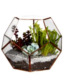 Huzur Dolu Teraryum Terarium çiçek gönder