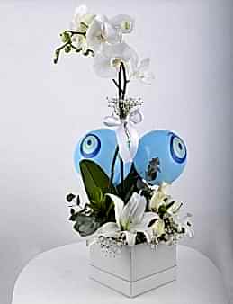 Bir Tek Sen... Beyaz Orkide Çiçeği  çiçek gönder