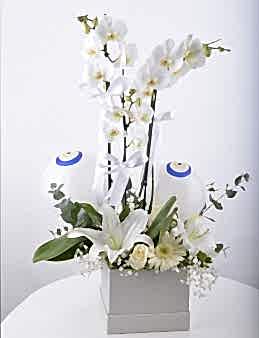 Mavi Boncuğum Beyaz Orkide Çiçeği  çiçek gönder