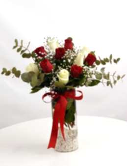 Kırmızı ve Beyaz Güller  çiçek gönder