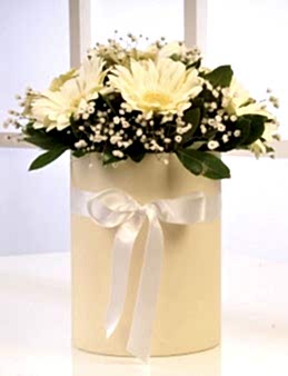 Kutuda Beyaz Gerberalar  çiçek gönder