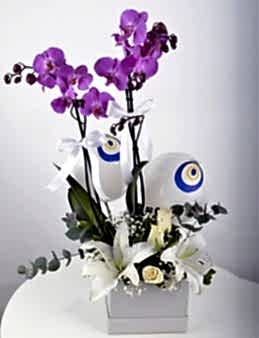 Buhulu Gözler Mor Orkide Çiçeği  çiçek gönder