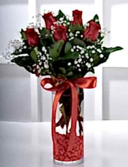 Vazoda 5 Kırmızı Gül  Aranjmanlar çiçek gönder