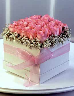 Pembe Mutluluk  çiçek gönder