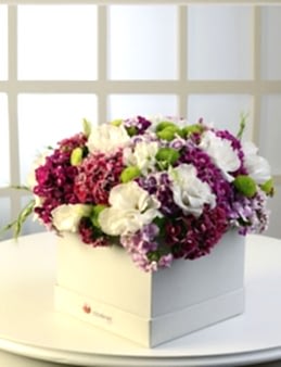 Ada Sahilleri Kutuda Çiçek çiçek gönder