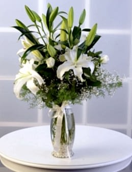 Beyaz Hisler  çiçek gönder