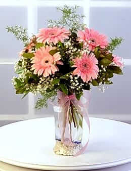 Cam Vazoda Pembe Gerberalar Aranjmanlar çiçek gönder
