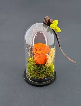 Yeter ki Gül Sevgilim Solmayan Güller  çiçek gönder