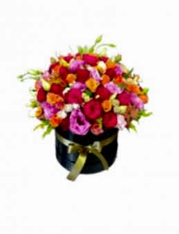 istanbul  kutuda çiçek