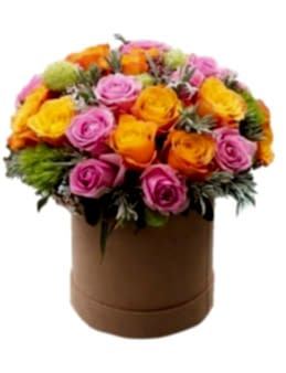 istanbul  kutuda çiçek