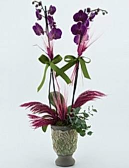 Özel Kadeh Vazoda İkili Mor Orkide Orkideler çiçek gönder