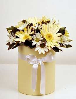 Gerberalar ve Krizantemler  çiçek gönder