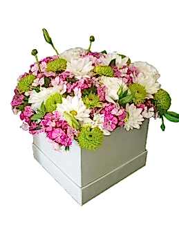 istanbul  kutuda çiçek