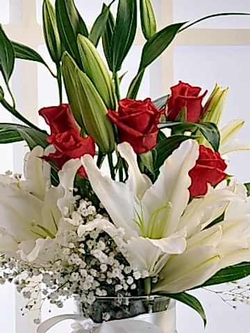 Sevgi Bahçesi Aranjmanlar çiçek gönder