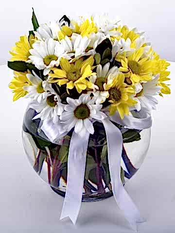 Güneş Doğuyor Kır Çiçeği Arajmanı Aranjmanlar çiçek gönder