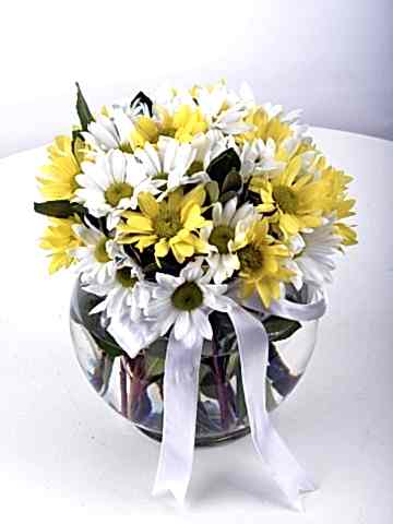 Güneş Doğuyor Kır Çiçeği Arajmanı Aranjmanlar çiçek gönder