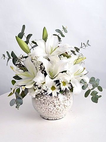 Lilyum Zarafeti. Aranjmanlar çiçek gönder