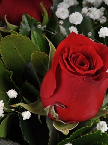 Gün Batımı 5 Kırmızı Gül Çiçek Arajmanı Aranjmanlar çiçek gönder