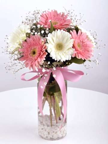 Hayallerimin  Prensesi Gerbera Çiçek Arajmanı Aranjmanlar çiçek gönder