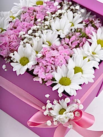 Özel Kutuda Baharın Gelişi Kır Çiçeği Arajmanı. Kutuda Çiçek çiçek gönder