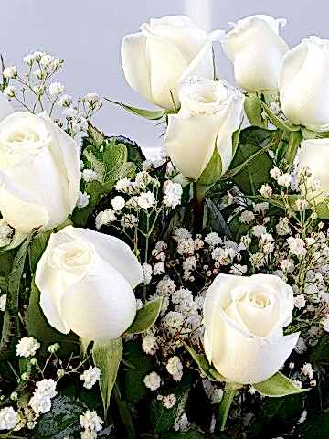 Amfora Camda 11 Beyaz Gül Aranjmanlar çiçek gönder