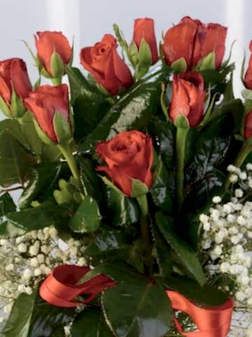 Camda 11 Adet Kırmızı Gül. Aranjmanlar çiçek gönder