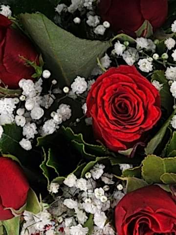 Aşk Küresi 11 Kırmızı Gül Aranjmanlar çiçek gönder