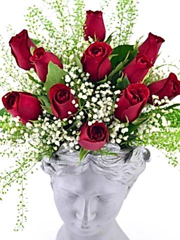 Helen Saksıda 11 Kırmızı Gül Aranjmanlar çiçek gönder