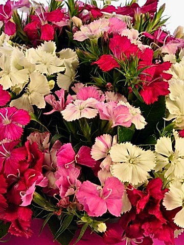 Rengarenk Kutuda Çiçek çiçek gönder