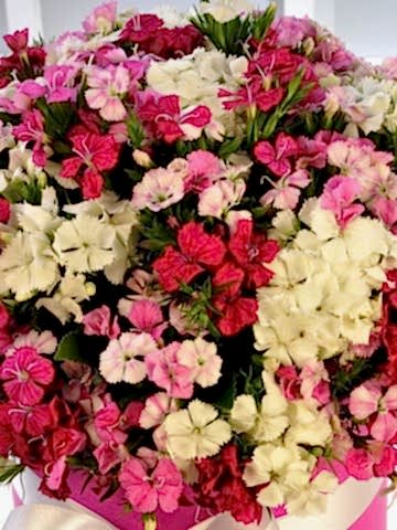 Rengarenk Kutuda Çiçek çiçek gönder