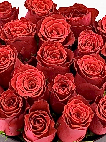 Siyah  Kutuda 21 Adet Kırmızı Gül  Kutuda Çiçek çiçek gönder